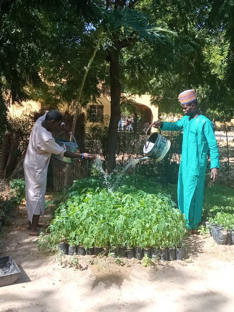Forestry Program